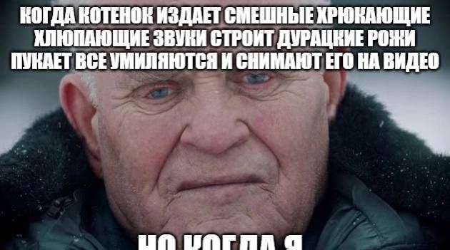 КОГДА КОТЕНОК ИЗДАЕТ СМЕШНЫЕ ХРЮКАЮЩИЕ ХЛЮПАЮЩИЕ ЗВУКИ СТРОИТ ДУРАЦНИЕ РОЖИ ПУКАЕТ ВСЕУМИЛЯЮТСЯ И СНИМАЮТ ЕГО НА ВИДЕО a