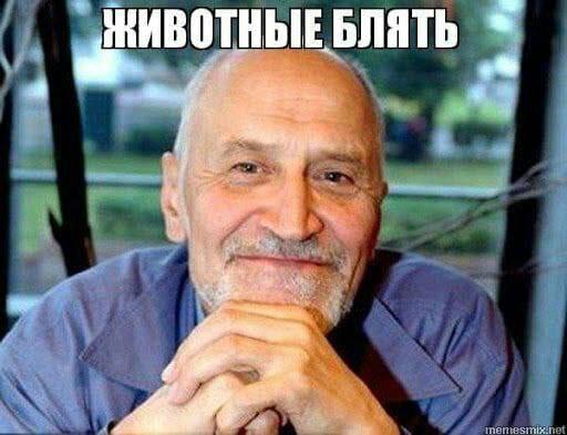 a ИВОТНЫЕ БЛЯТЬ