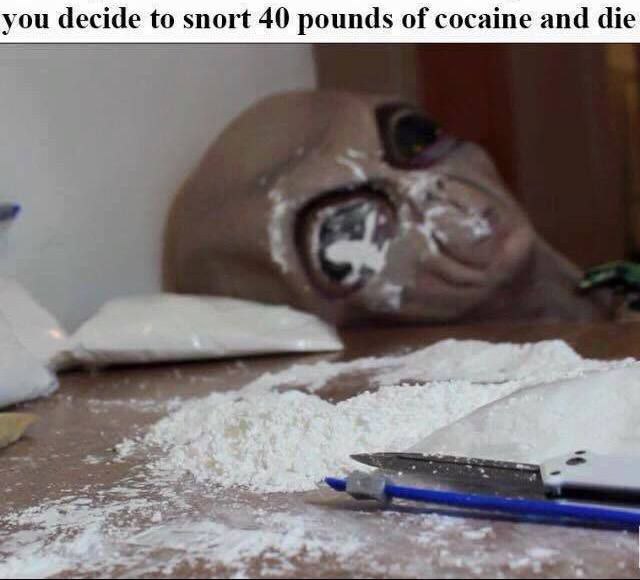 you decide to snort 40 pounds of cocaine and die