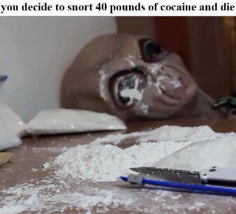you decide to snort 40 pounds of cocaine and die