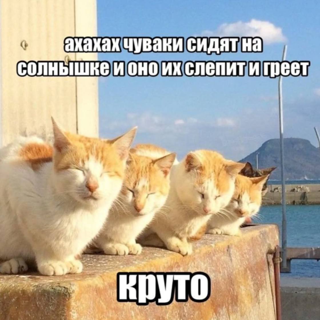 чуваки сидят солнышке и OHO слепит и греет a