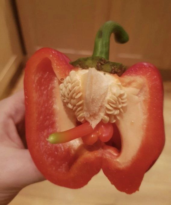 у