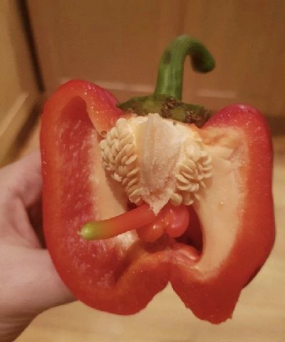у