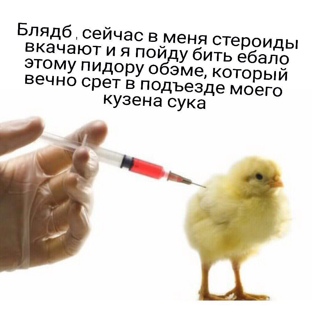 Блядб сейчас в меня стероиды вкачают и я пойду бить ебало этому пидору обэме, который вечно срет в подъезде моего кузена сука