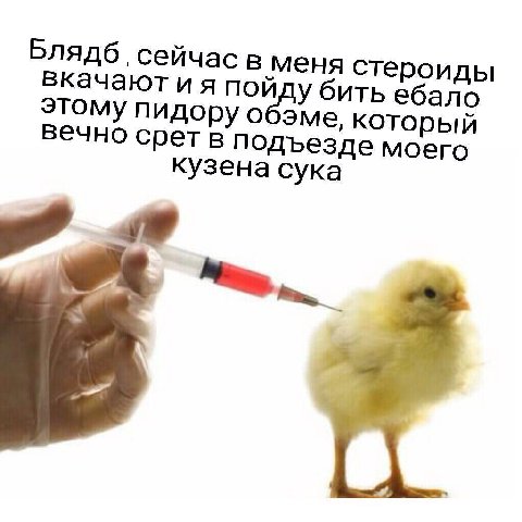 Блядб сейчас в меня стероиды вкачают и я пойду бить ебало этому пидору обэме, который вечно срет в подъезде моего кузена сука