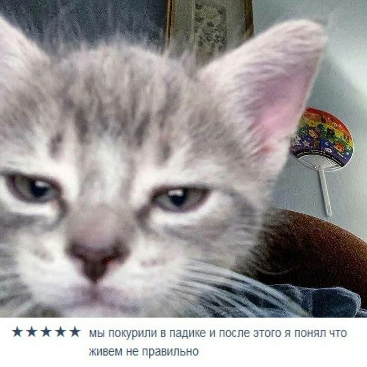 мы покурили в падике и после этого я понял что живем не правильно