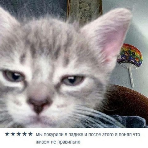 мы покурили в падике и после этого я понял что живем не правильно