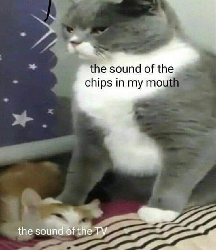 the sound о the chips in my mouth the