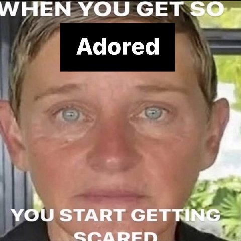 НЕМ YOU СЕТ Adored START GET
