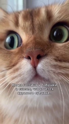 Когда У бабушки исказал что хочется Га куринопосупчика... и сказалачто хочется J (куриновосупчика... копдащосцишь у бабушки а куриного'супчика.- OCTULWb У бабушки \\ у КогдакостишьУбабушки сказал Ачто