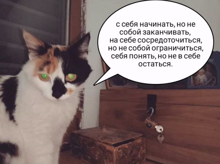 с себя начинать, но не собой заканчивать, на себе сосредоточиться, но не собой ограничиться, себя понять, но не в себе остаться. 4