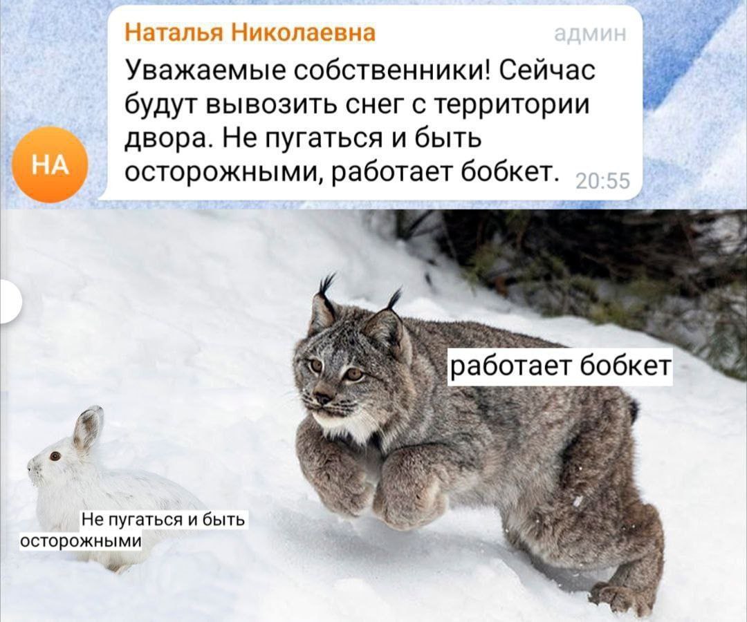 Наталья Николаевна Уважаемые собственники! Сейчас будут вывозить снег с территории двора. Не пугаться и быть осторожными, работает бобкет. работает бобкет a у я Не пугаться и быть осторожными
