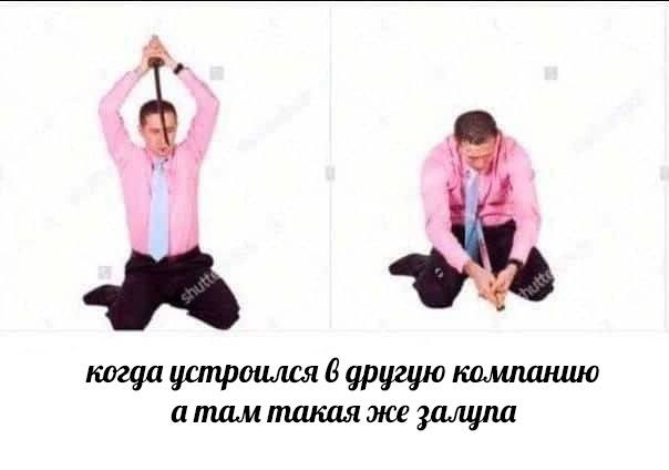 когда устроился 6 другцю компанию такая же залупа