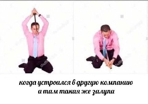 когда устроился 6 другцю компанию такая же залупа
