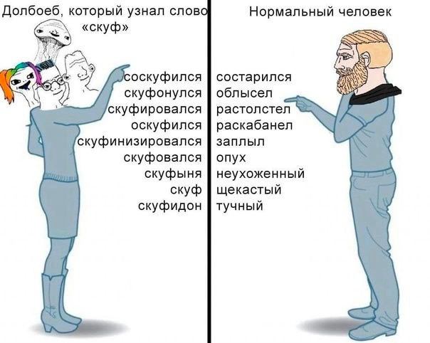 Долбоеб, который узнал слов Нормальный человек «скуф» оскуфился состарился скуфонулся облысел скуфировался растолстел оскуфился раскабанел скуфинизировался заплыл скуфовался опух скуфыня неухоженный с