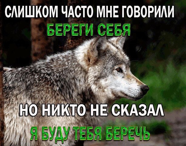 СЛИШКОМ ЧАСТО МНЕ ГОВОРИЛИ НИКТО НЕ СКАЗАЛ