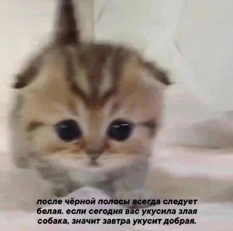Доброе утро! 🌞