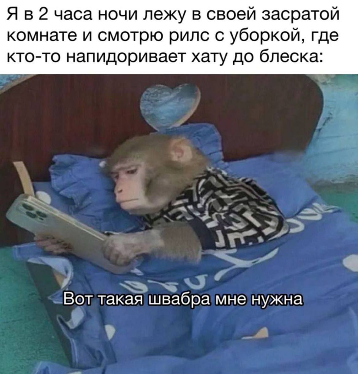Я в 2 часа ночи лежу в своей засратой комнате и смотрю рилс с уборкой, где кто-то напидоривает хату до блеска: Вот такая швабра мне нужна у