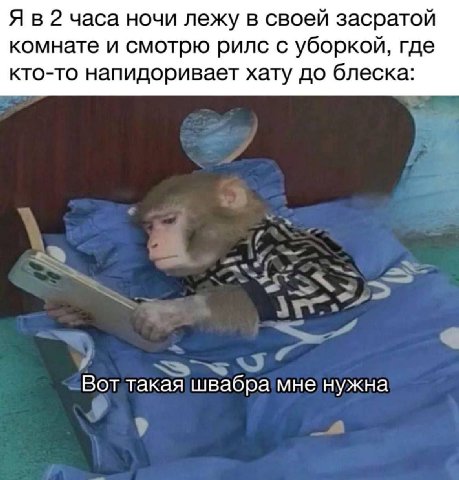 Я в 2 часа ночи лежу в своей засратой комнате и смотрю рилс с уборкой, где кто-то напидоривает хату до блеска: Вот такая швабра мне нужна у