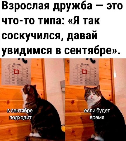 Взрослая дружба это что-то типа: «Я так соскучился, давай увидимся в 0 ВВС всентябре если будет подходит время
