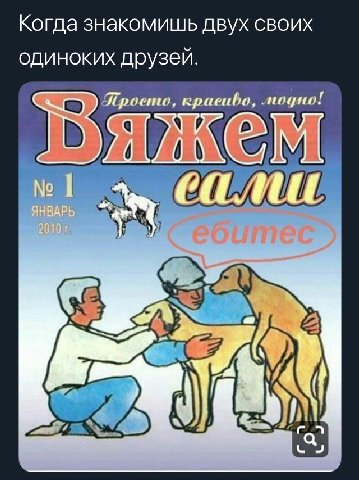 Когда знакомишь двух своих одиноких друзей.
