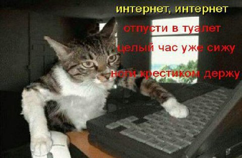 интернет, интернет в туз