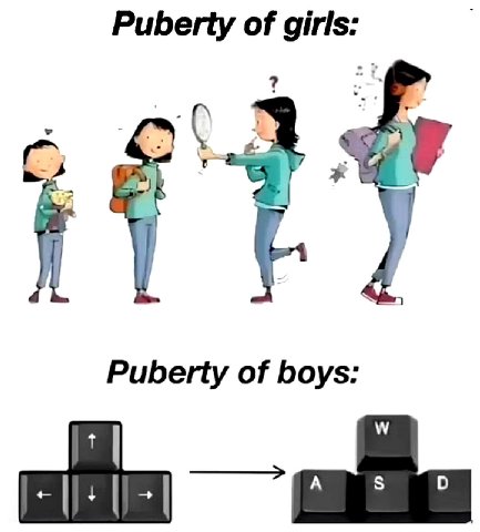 Puberty of girls: Puberty of boys: