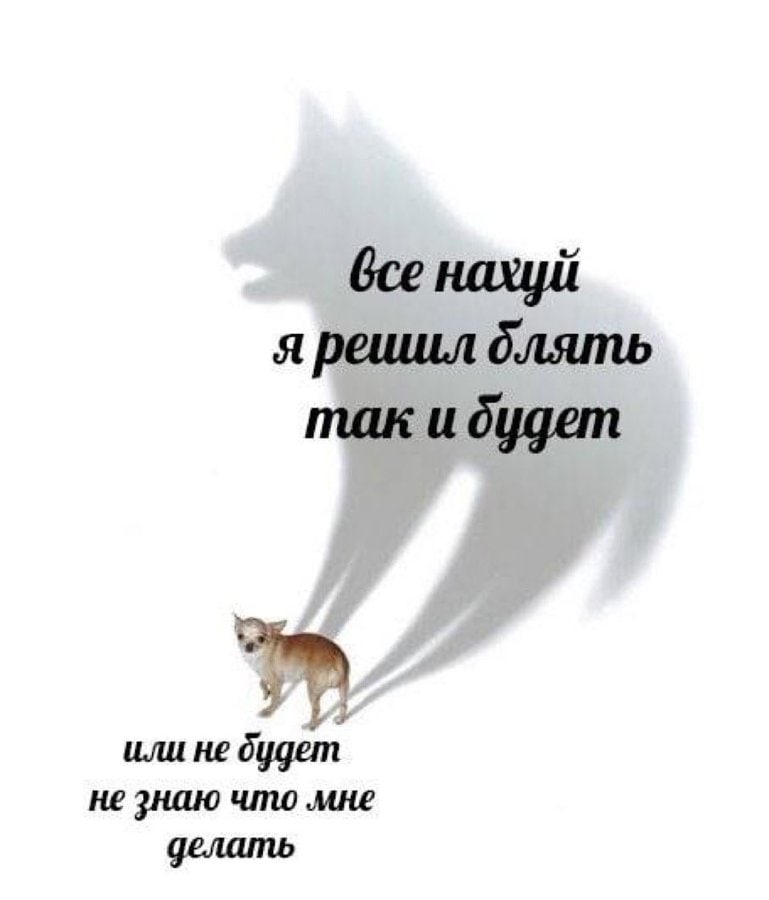 Gce нахуй я реишл блять так и будет или не будет не знаю что мне делать