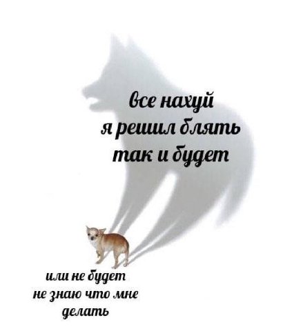 Gce нахуй я реишл блять так и будет или не будет не знаю что мне делать