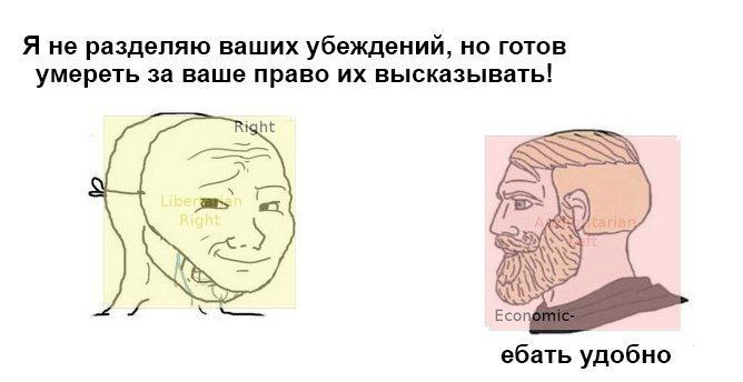 Я не разделяю ваших убеждений, но готов умереть за ваше право высказывать! ight Есо ебать удобно