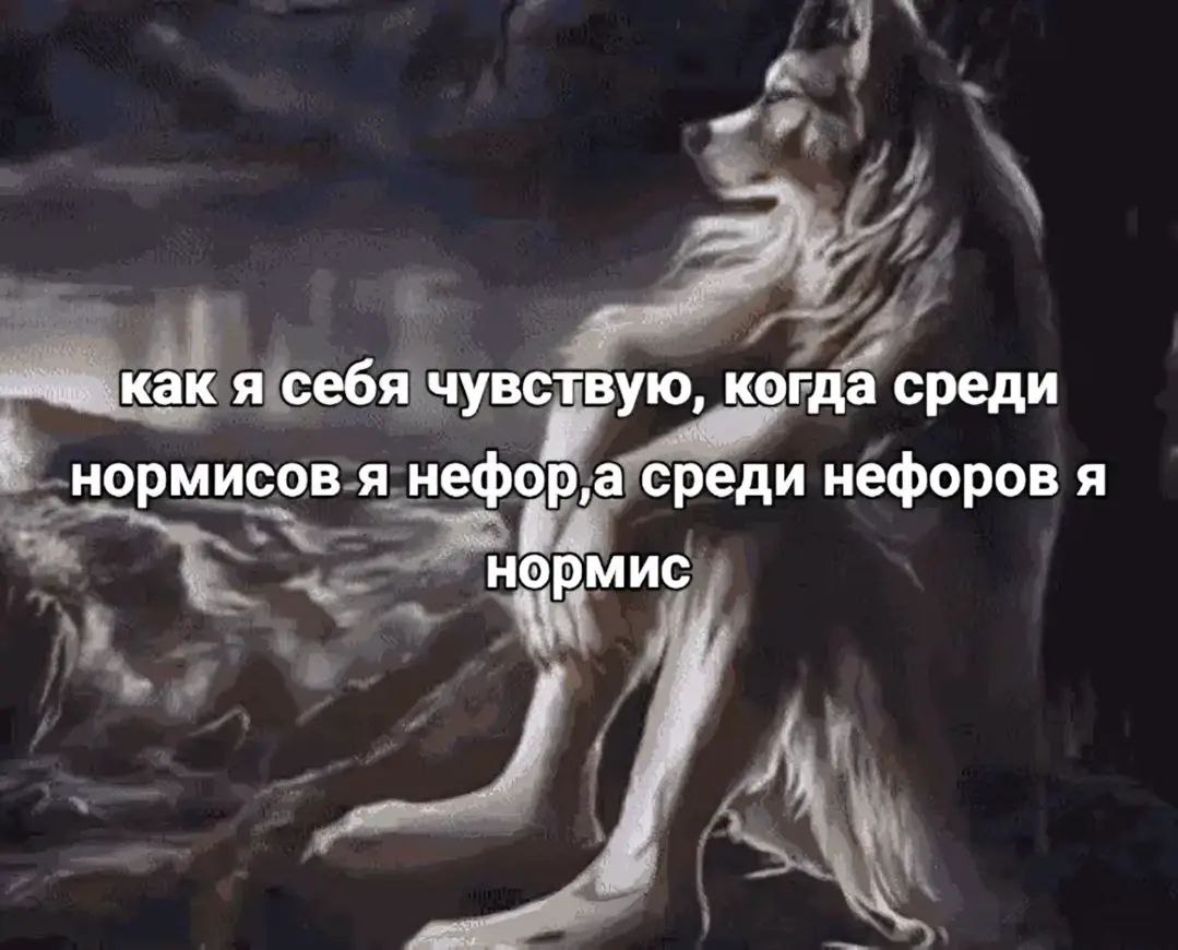 Как я себя чувствую, когда среди нормисов я нефор,а среди нефоров я нормис