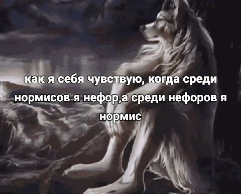 Как я себя чувствую, когда среди нормисов я нефор,а среди нефоров я нормис