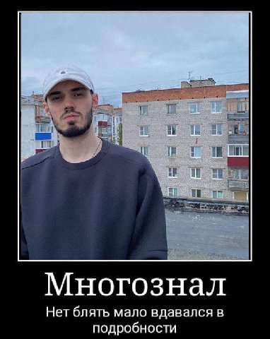 Многознал Нет блять мало вдавался в подробности
