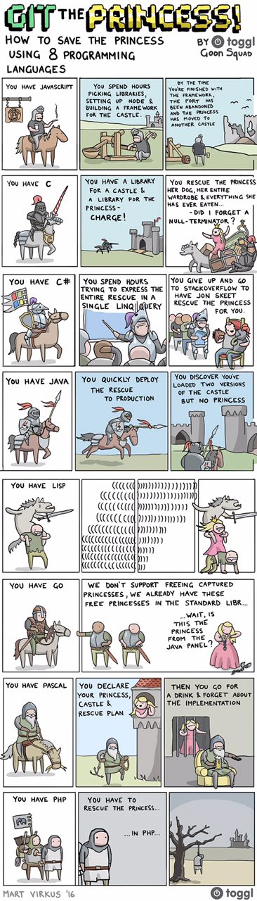 HOW TO SAVE THE PRINCESS toggl USING 8 PROGRAMMING Goon LANGUAGES You HAVE JAVASCRIPT You SPEND HOURS TRE THE PICKING FINISHED THE FRAMEWORK SETTING UP NODE THE FORT BUILDING A FRAME WoRK AND THe PRIN