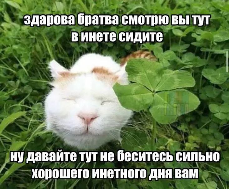 здарова братва смотрю вы тут в инете сидите ну давайте тут не беситесь сильно хорошего инетного дня вам