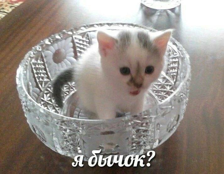 3$ a a я бычок: