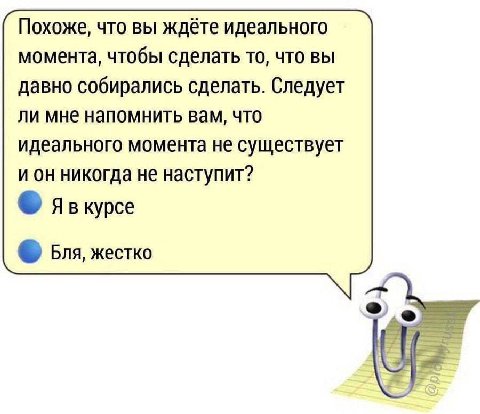 Похоже, что вы ждёте идеального момента, чтобы сделать то, что вы давно собирались сделать. Следует ли мне напомнить вам, что идеального момента не существует и он никогда не наступит? курсе Бля, жест