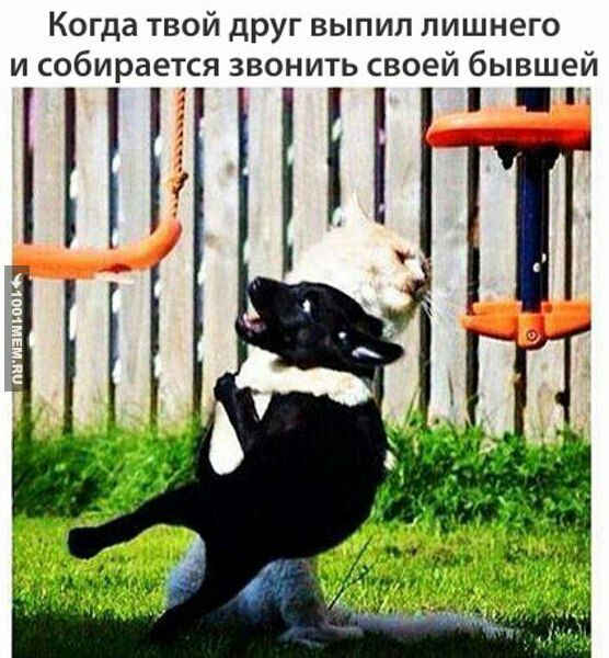 Когда твой друг выпил лишнего и собирается звонить своей бывшей 7 8 3 у я