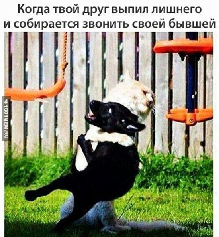 Когда твой друг выпил лишнего и собирается звонить своей бывшей 7 8 3 у я