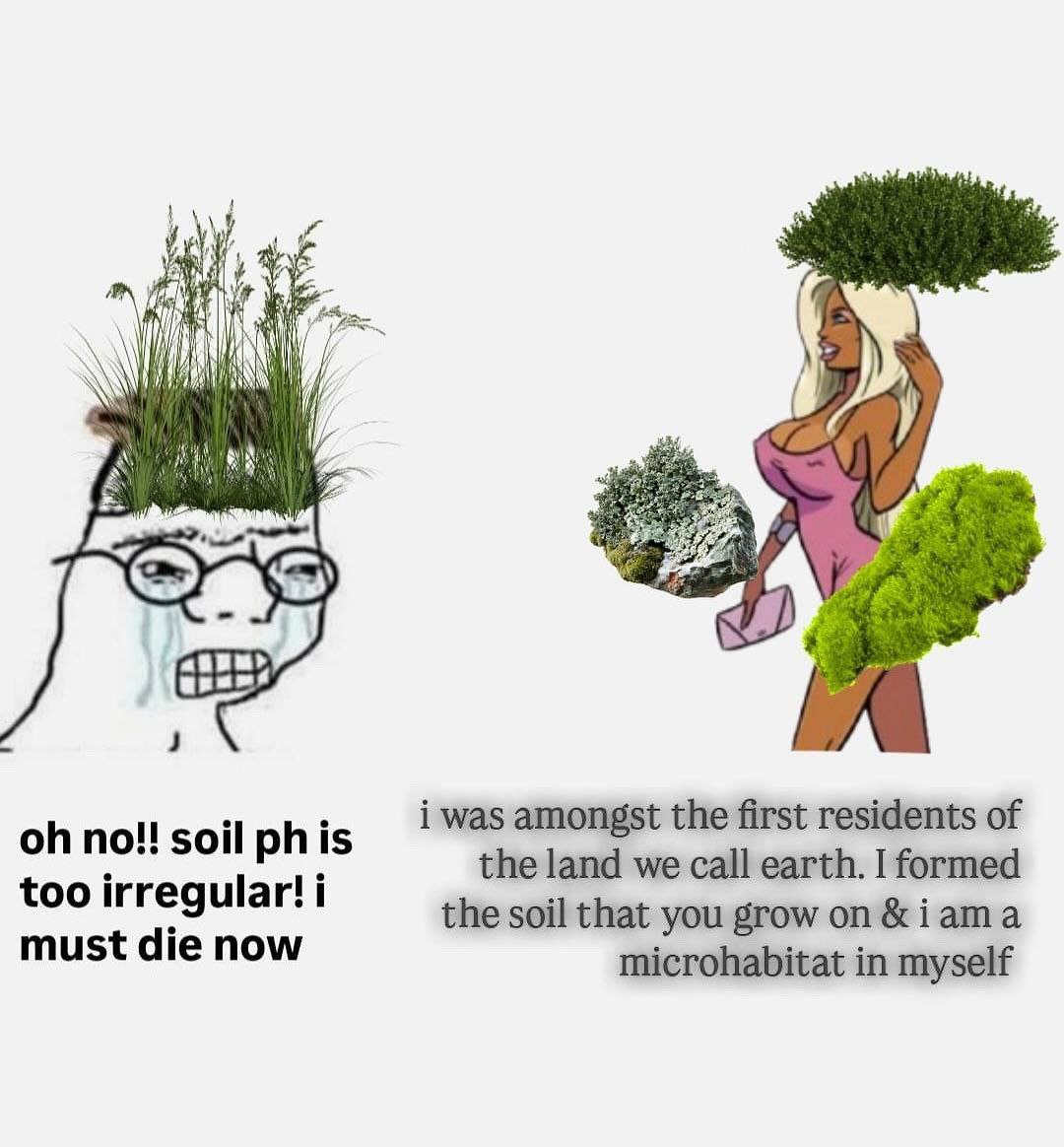 i was amongst the first residents of no!! soil phis the land we call earth. I formed too irregular! i the soil that you grow &iama must die now microhabitat in myself