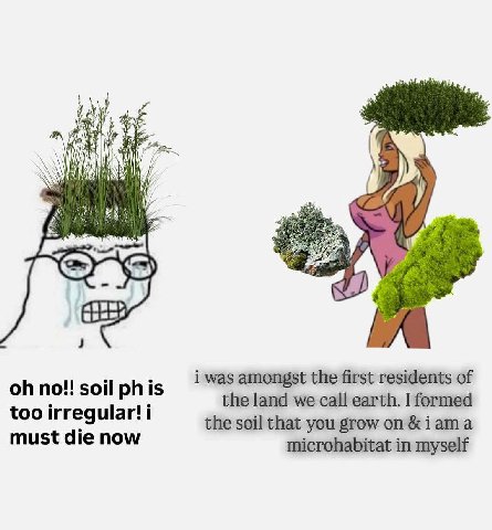 i was amongst the first residents of no!! soil phis the land we call earth. I formed too irregular! i the soil that you grow &iama must die now microhabitat in myself