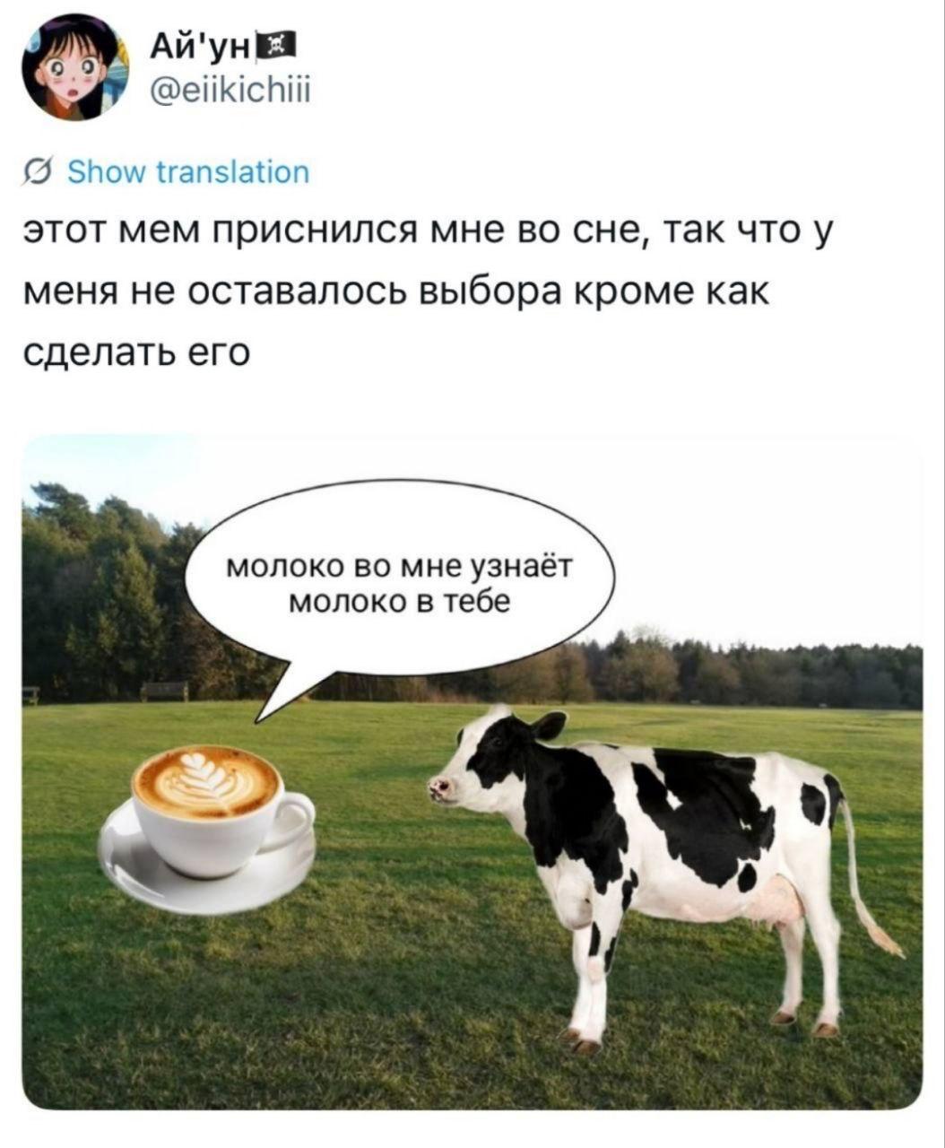 АЙ'ун @eiikichiii Show translation этот MEM приснился мне CHE, так что у меня не оставалось выбора кроме как сделать его молоко во мне узнаёт молоко в тебе