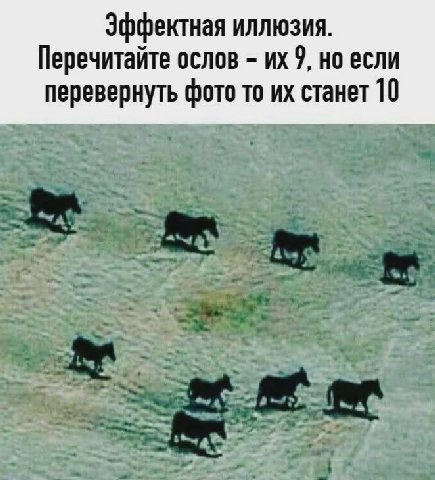 Эффектная иллюзия. Перечитайте ослов 9, но если перевернуть фото то станет 10