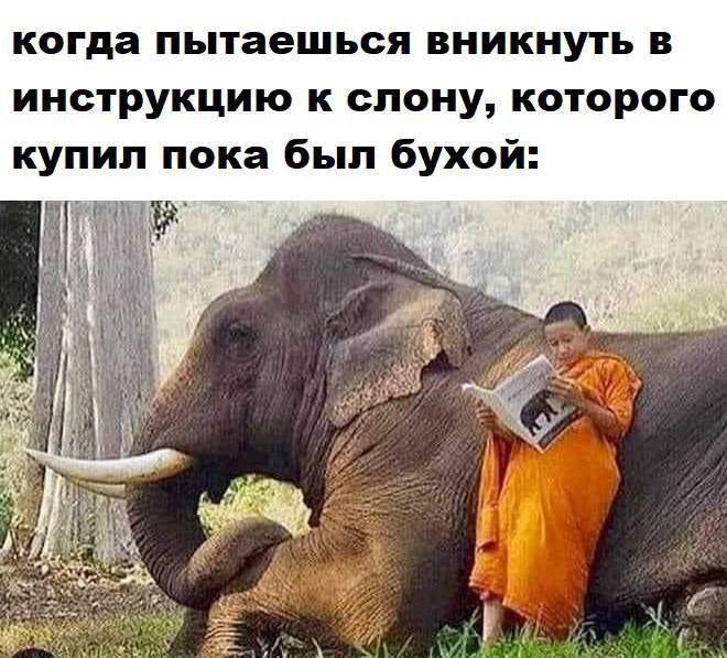 когда пытаешься вникнуть в инструкцию к слону, которого купил пока был бухой: “6 #1 i Sais а