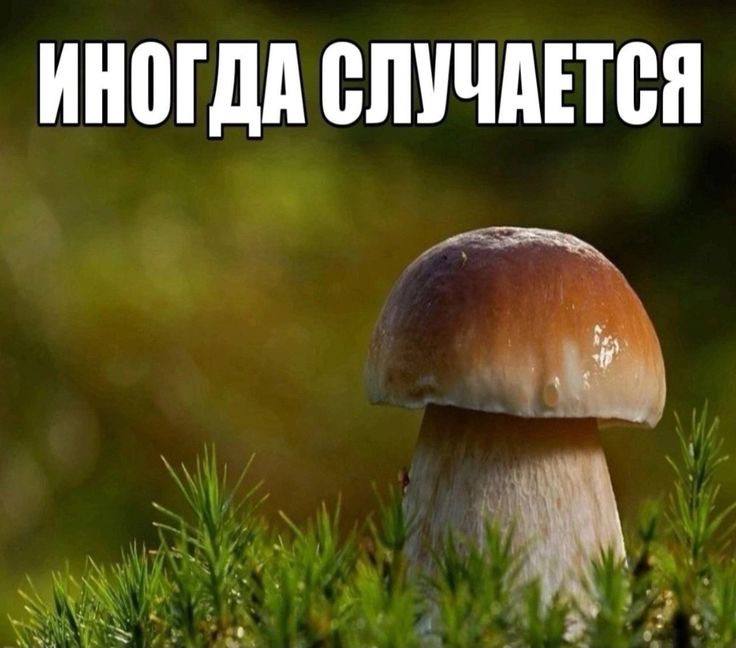 ИНОГДА СЛУЧАЕТСЯ