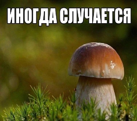 ИНОГДА СЛУЧАЕТСЯ