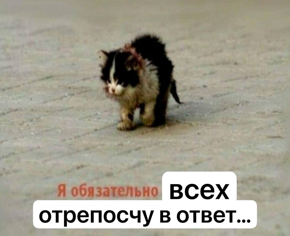 всех отрепосчу в ответ...