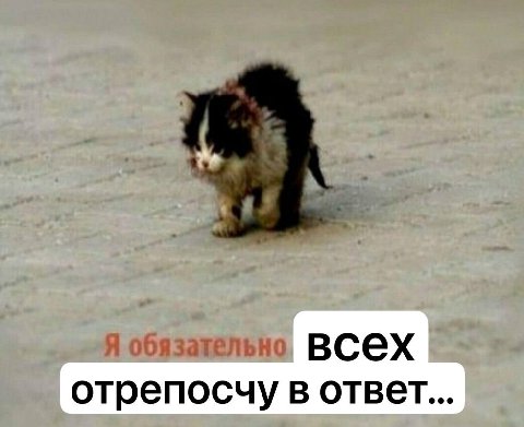 всех отрепосчу в ответ...