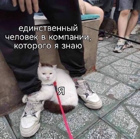 единственный человек в компании, которого я знаю Я Be