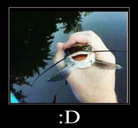 я
